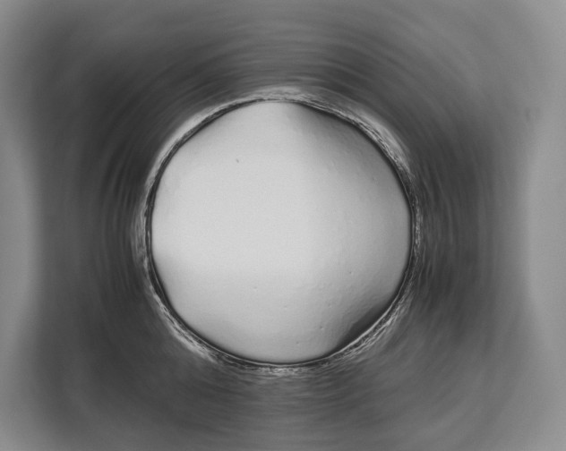 X0000113040808200909171520