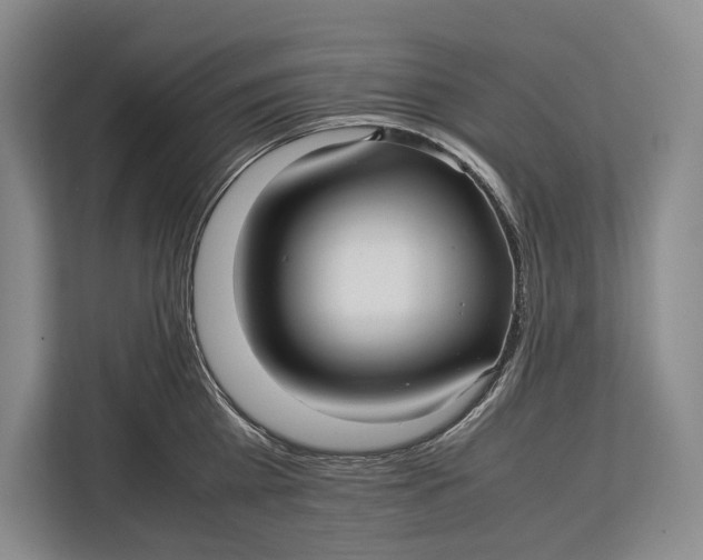 X0000113040809200909171520