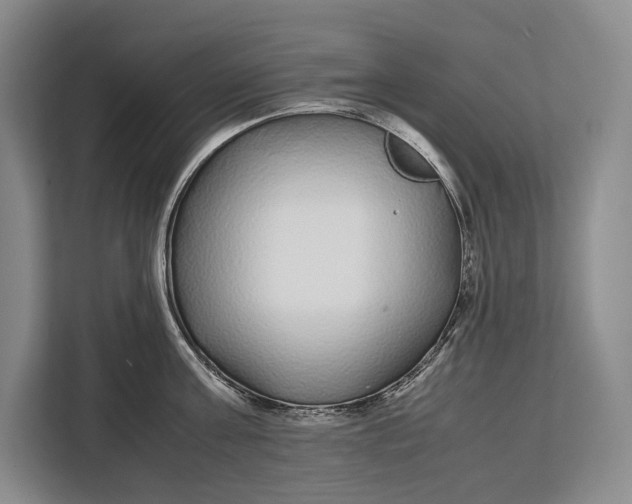 X0000113040811200909171520
