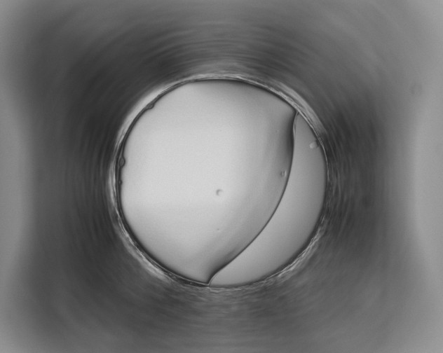X0000113040812200909171520