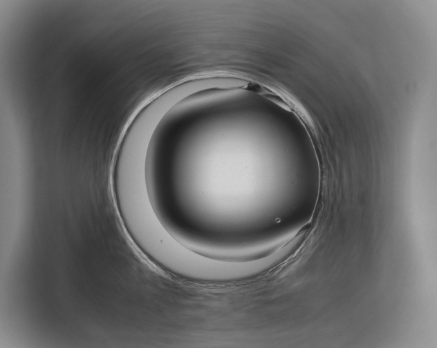 X0000113040813200909171520