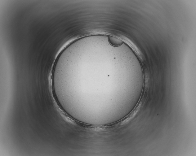 X0000113040814200909171520