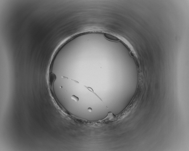 X0000113040815200909171520
