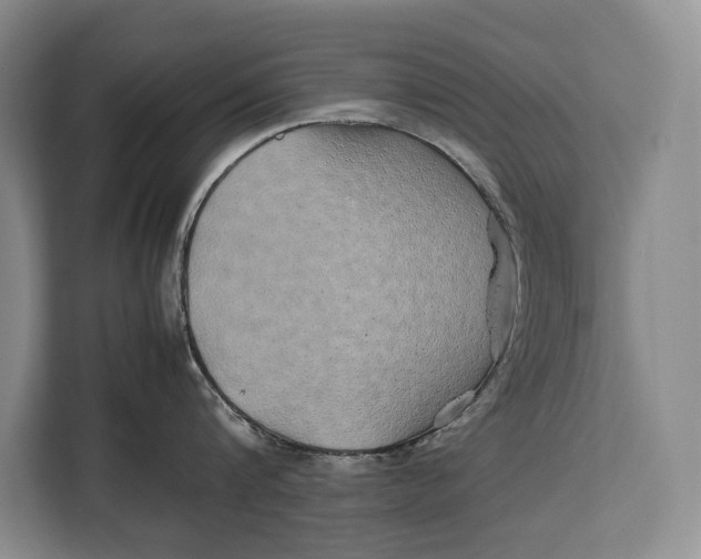 X0000113040816200909171520