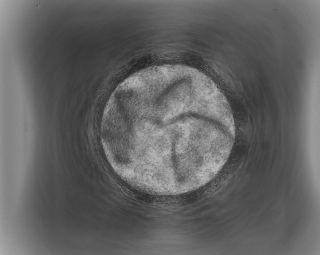 X0000113040817200909171519