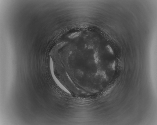 X0000113040818200909171519