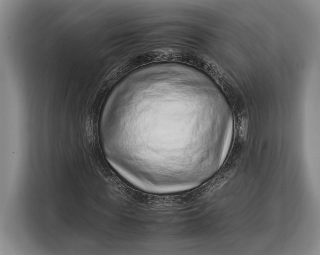 X0000113040819200909171519