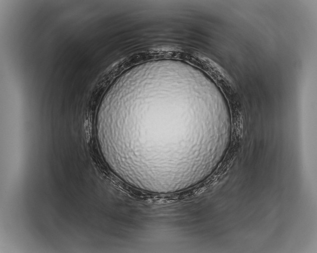X0000113040821200909171519