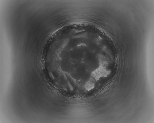 X0000113040822200909171519