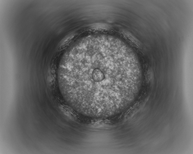 X0000113040824200909171519