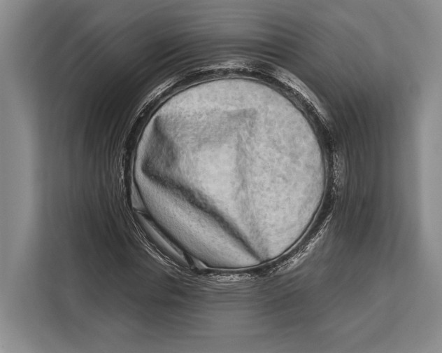 X0000113040826200909171519