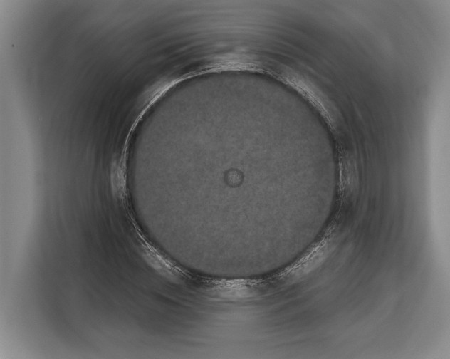 X0000113040828200909171519