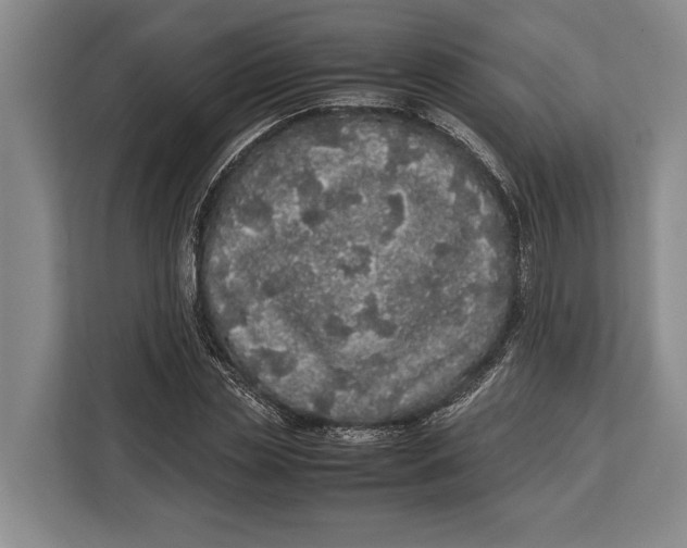 X0000113040829200909171519