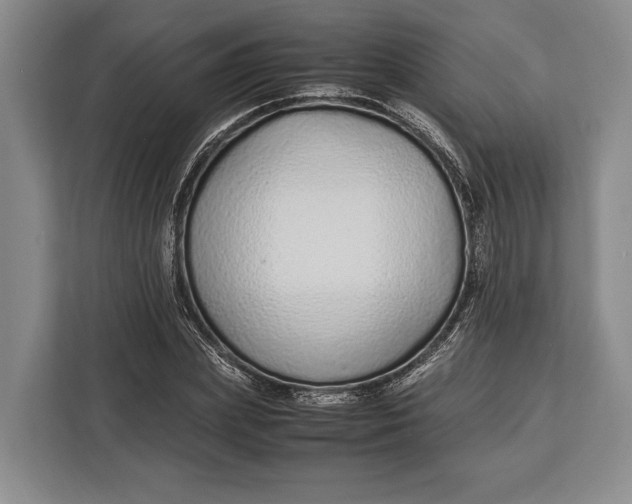X0000113040831200909171519