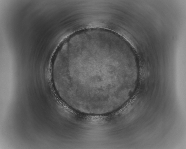 X0000113040832200909171519
