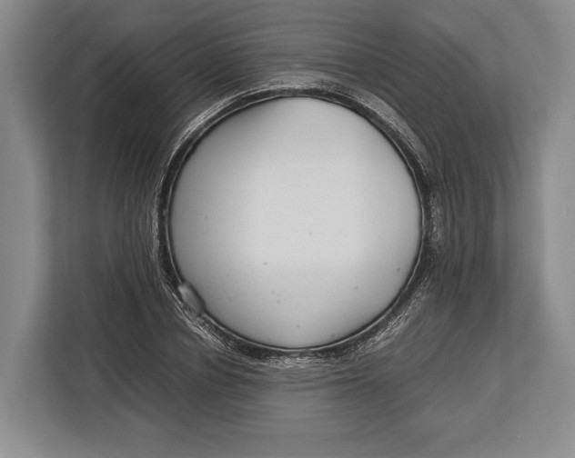 X0000113040834200909171519