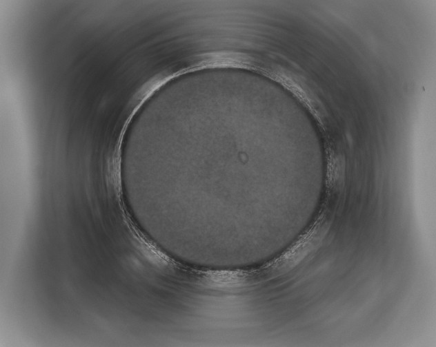 X0000113040836200909171519