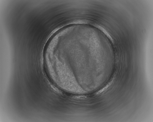 X0000113040837200909171519