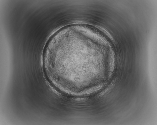 X0000113040839200909171519
