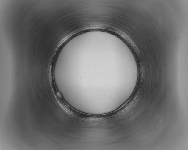 X0000113040842200909171519