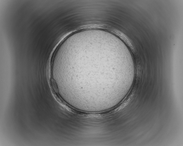 X0000113040844200909171519
