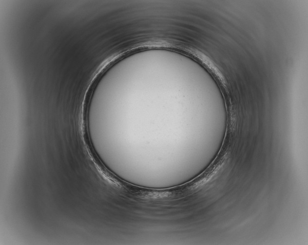 X0000113040845200909171519
