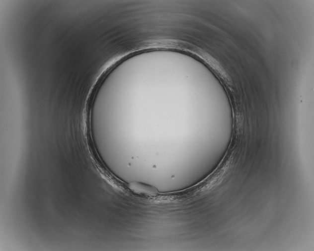 X0000113040846200909171519