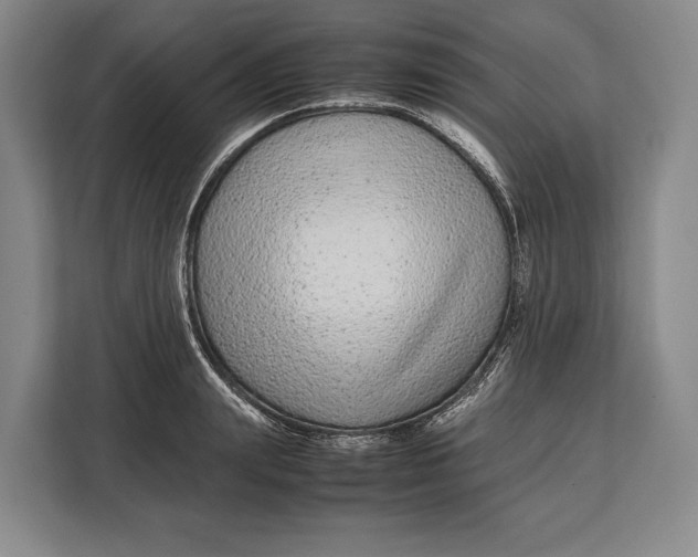 X0000113040847200909171519