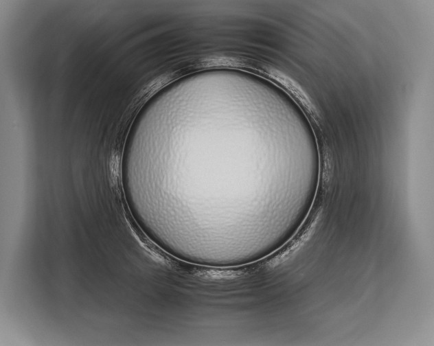 X0000113040849200909171519