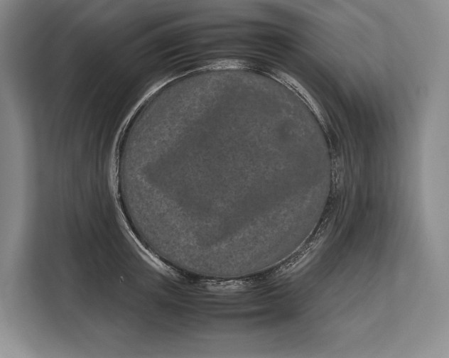 X0000113040851200909171519