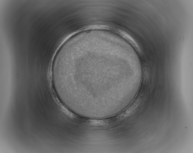 X0000113040852200909171519