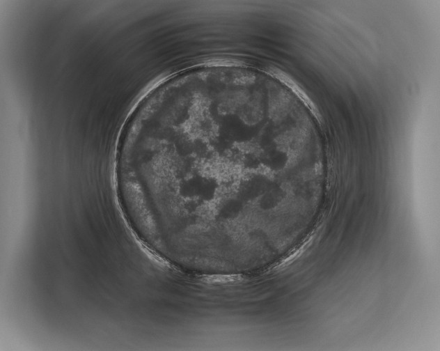 X0000113040853200909171519