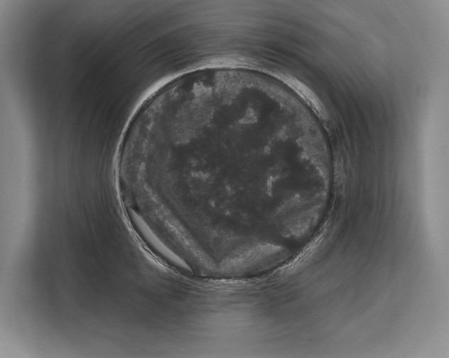 X0000113040854200909171519