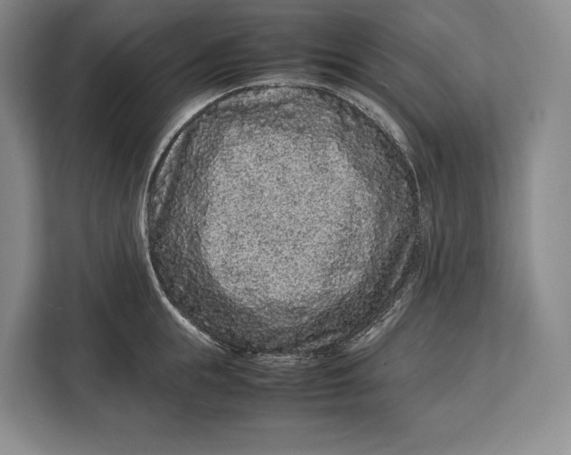 X0000113040855200909171519