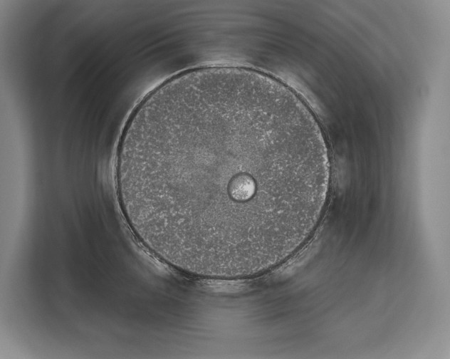 X0000113040856200909171519