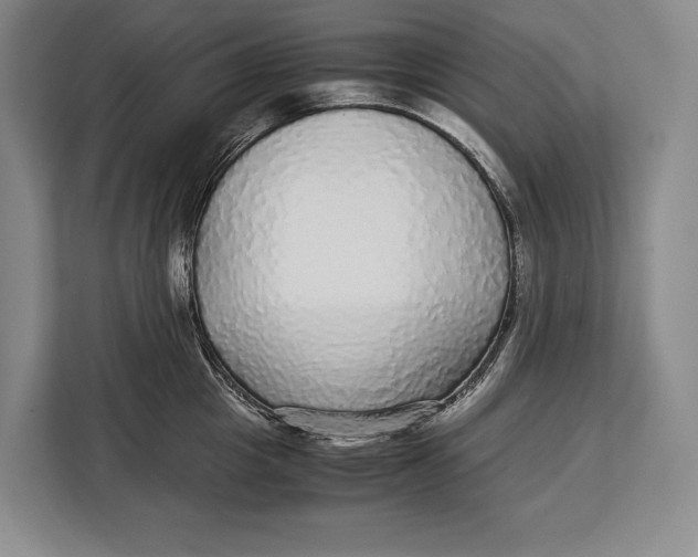 X0000113040857200909171519