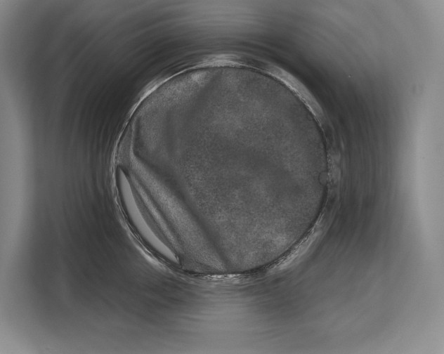 X0000113040858200909171519