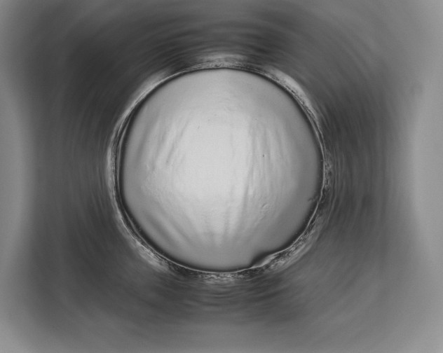 X0000113040859200909171519