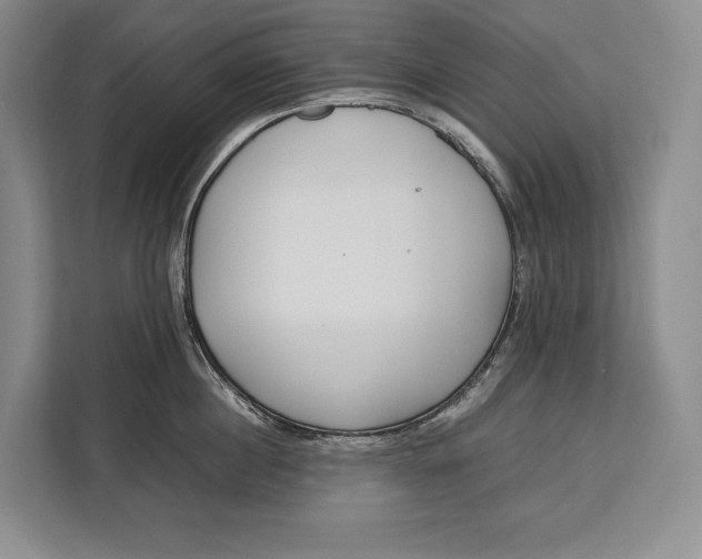 X0000113040860200909171519