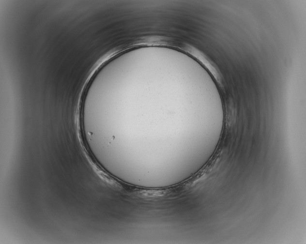 X0000113040861200909171519
