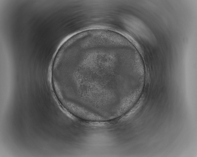 X0000113040862200909171519