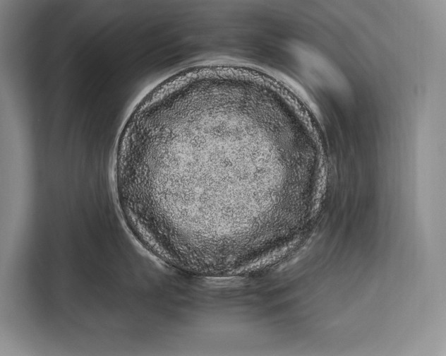 X0000113040863200909171520