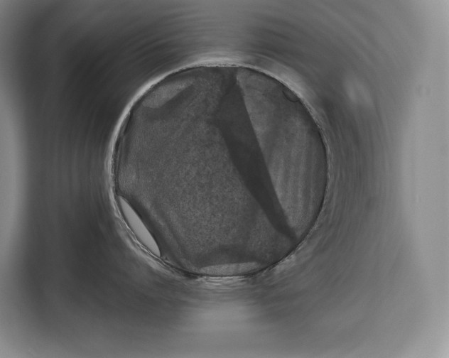 X0000113040864200909171520