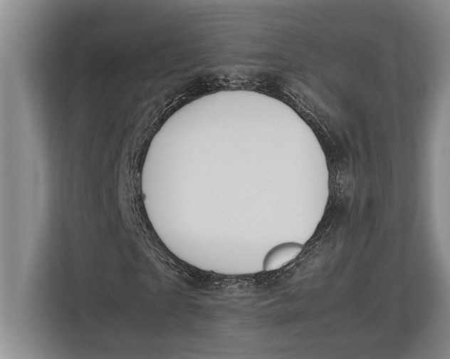 X0000113040865200909171519