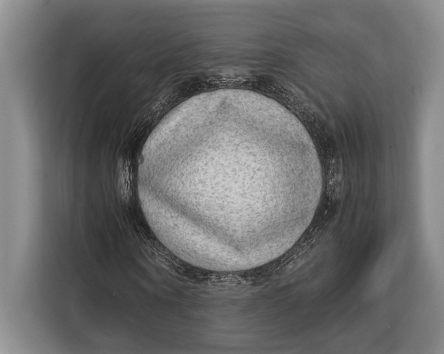 X0000113040866200909171519