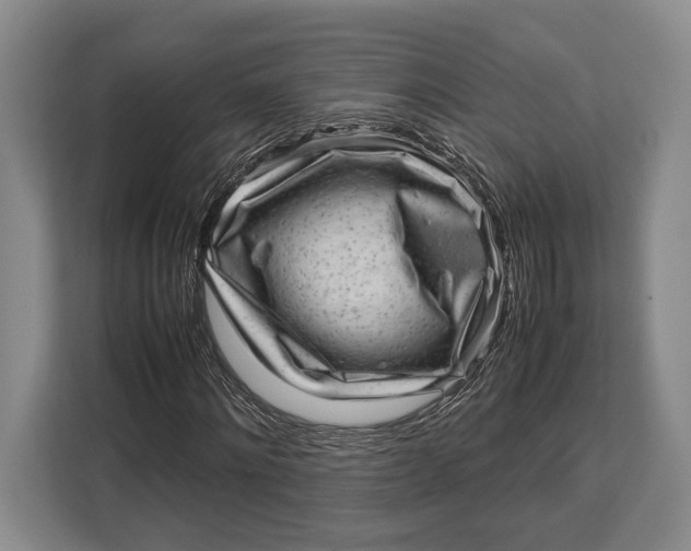 X0000113040868200909171519