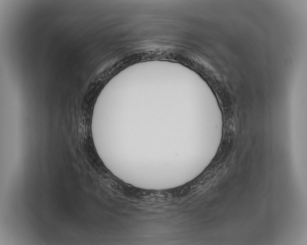 X0000113040869200909171519