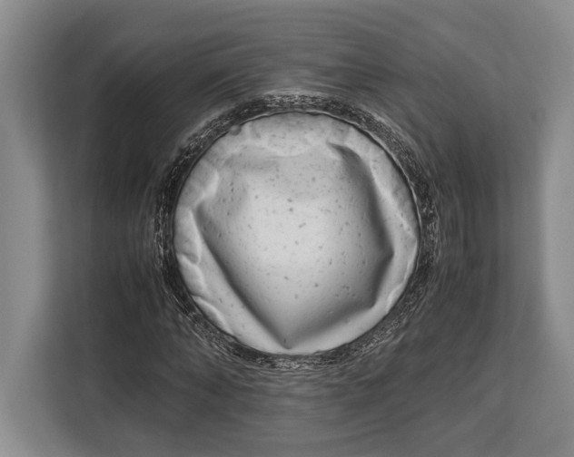 X0000113040870200909171519