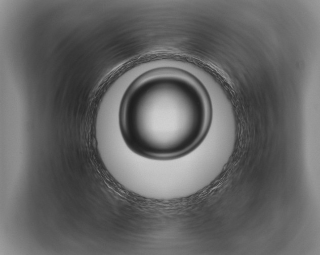 X0000113040872200909171519