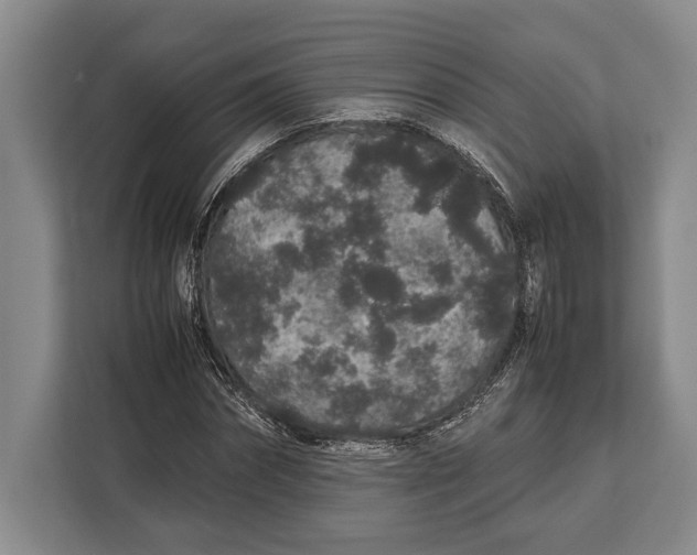 X0000113040874200909171519